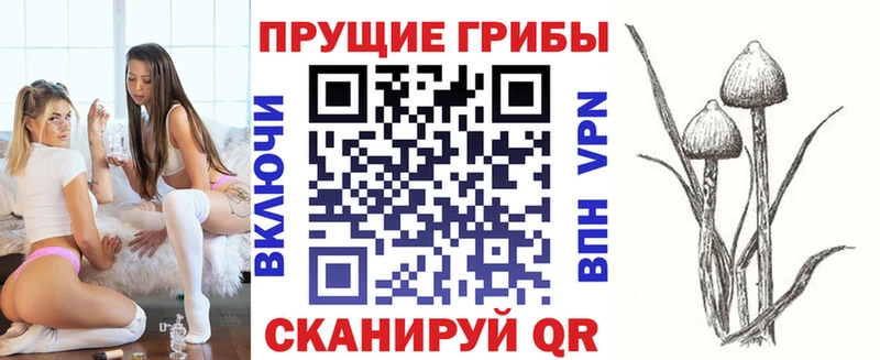 Псилоцибиновые грибы GOLDEN TEACHER  как найти   Хвалынск 